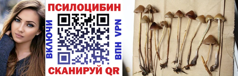 Псилоцибиновые грибы MAGIC MUSHROOMS  Зеленокумск 