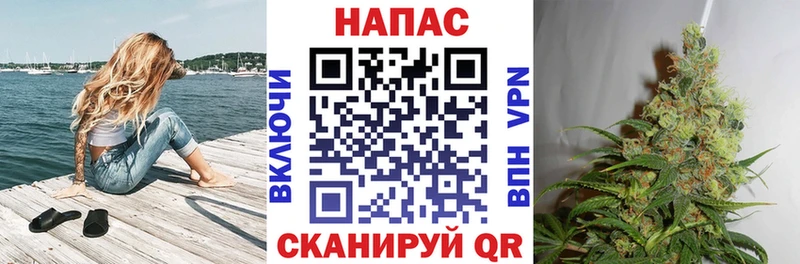 Конопля ГИДРОПОН  дарнет шоп  Зеленокумск 